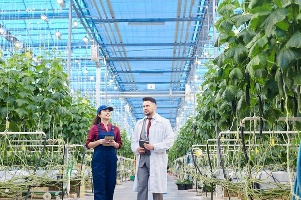 Comment sélectionner la meilleure entreprise cvc pour vos besoins