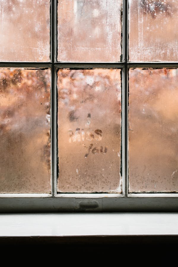 Humidité maison : conseils pratiques pour un environnement sain